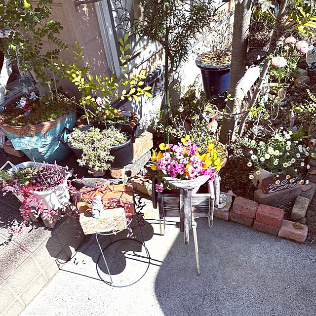 takakoさんの部屋