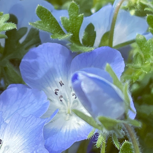 namecoさんの部屋