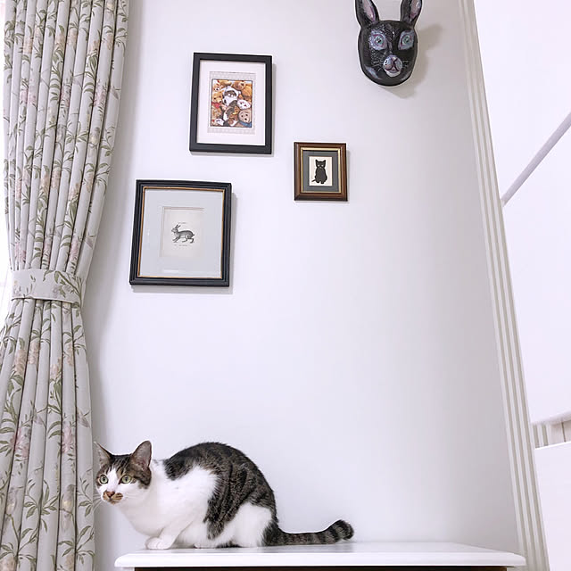 yuchiさんの実例写真