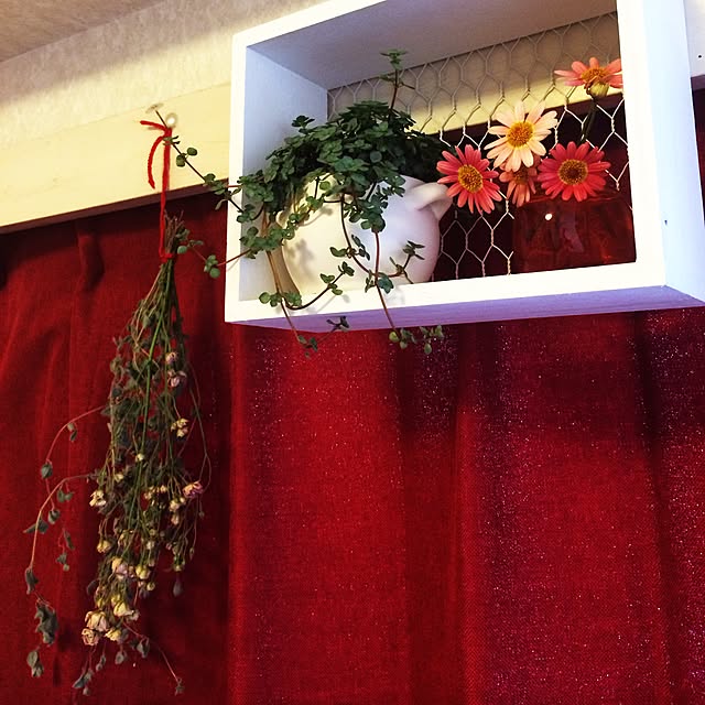 cowslipprimroseさんの実例写真