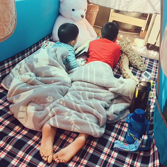 koshiregutyoさんの実例写真