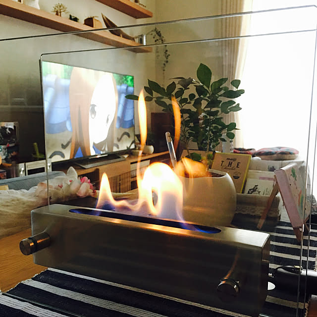 haneti3さんの実例写真