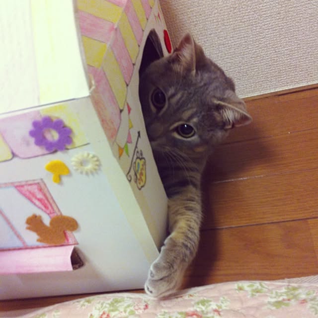 Rinaさんの実例写真