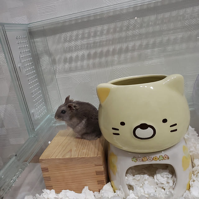 BAZさんの実例写真
