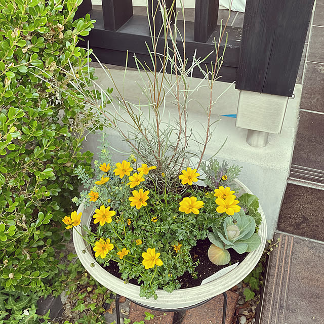 wakaba223さんの実例写真