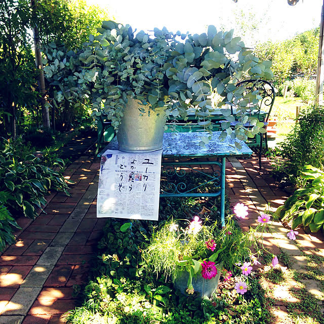 okanoueさんの実例写真