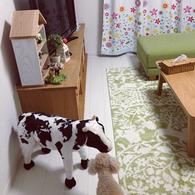 yokkoさんの実例写真