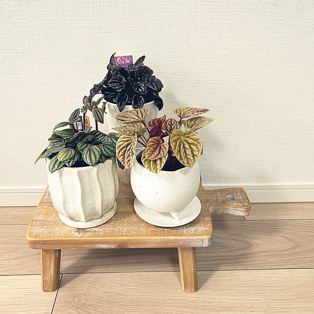 yoyoyoさんの実例写真