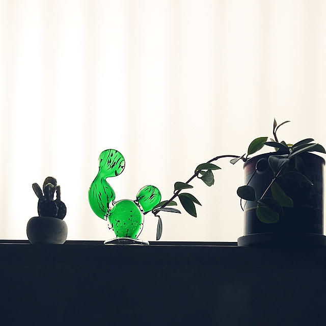 Renさんの実例写真