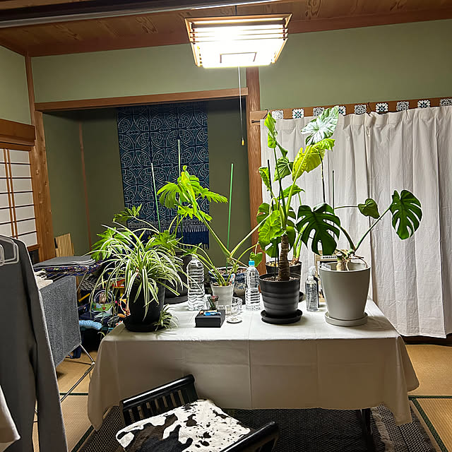 yanyonさんの実例写真
