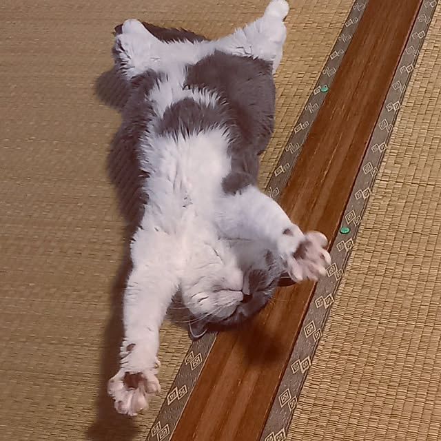 rhuさんの実例写真