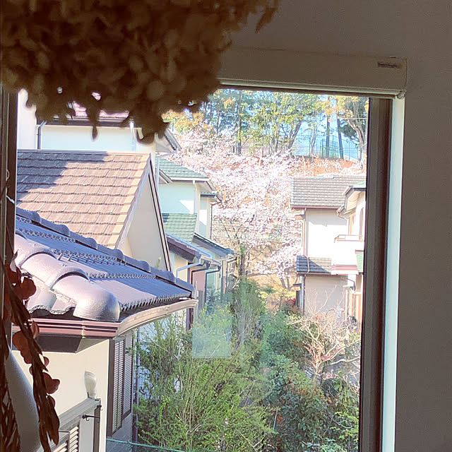 hatsugaさんの実例写真