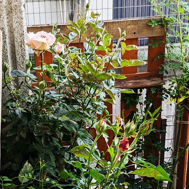 kazuさんの部屋