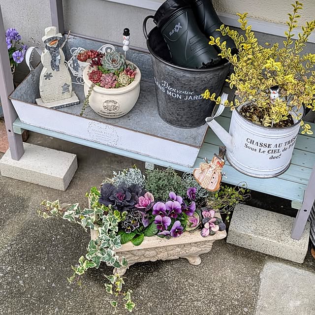 purpureさんの部屋