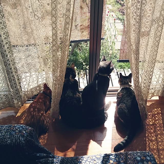 annさんの実例写真