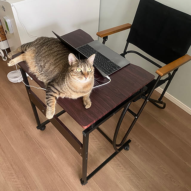 mikomaruさんの実例写真