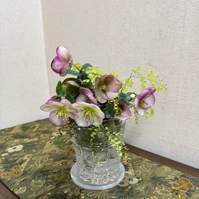 mamizaさんの部屋