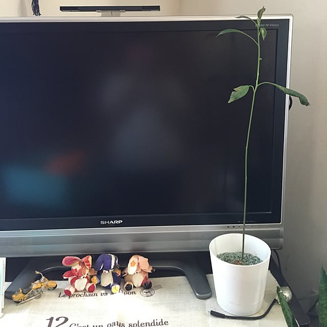cometsさんの実例写真