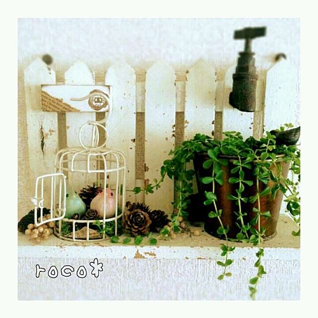 rocoさんの実例写真