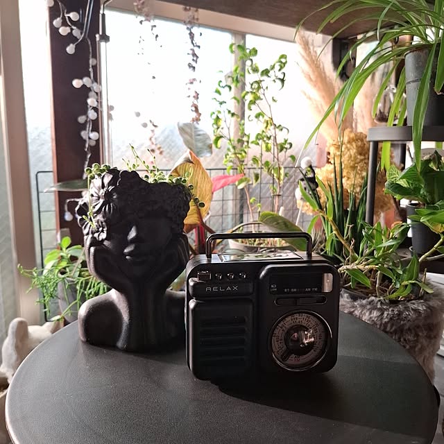 noaさんの実例写真