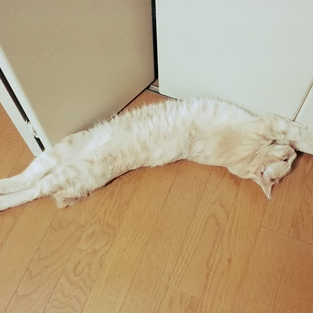 nana.maroさんの実例写真