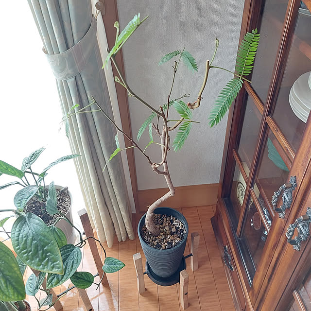 ayaさんの実例写真