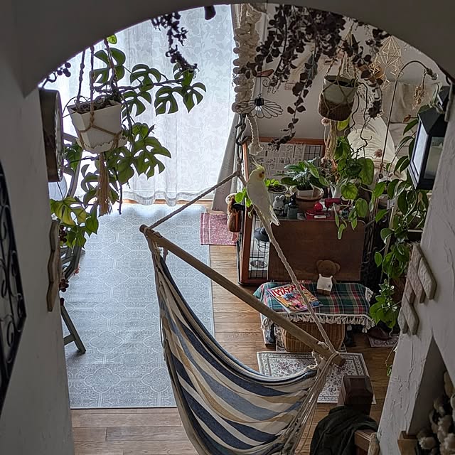 akiさんの実例写真