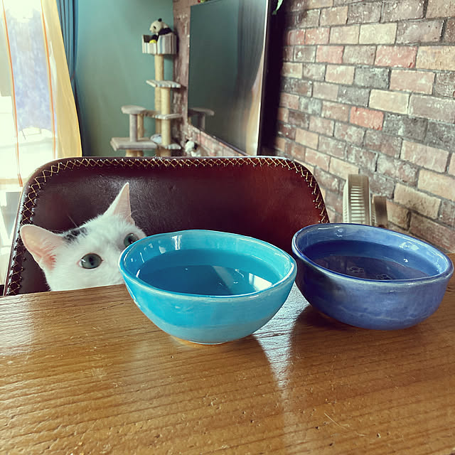 hakuさんの実例写真
