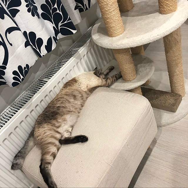 belltanさんの実例写真