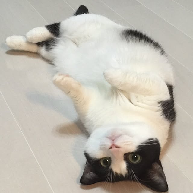 neuruさんの実例写真