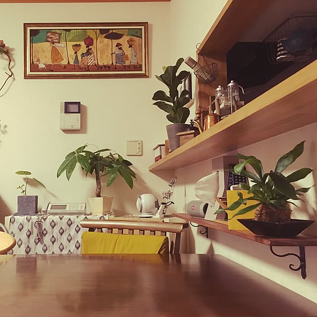 棚/観葉植物/DIYのインテリア実例 - 2016-09-04 20:30:49