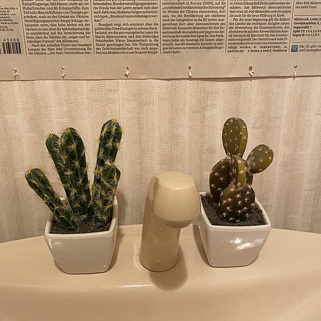 k0rn9さんの実例写真