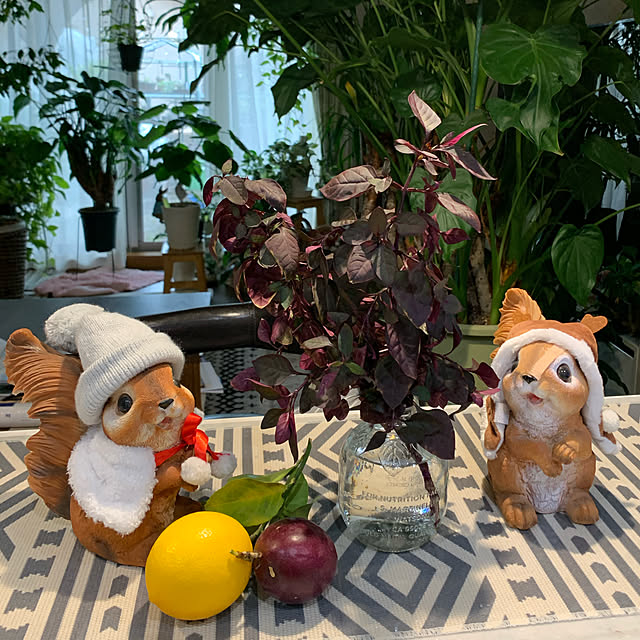 Aqettyさんの実例写真