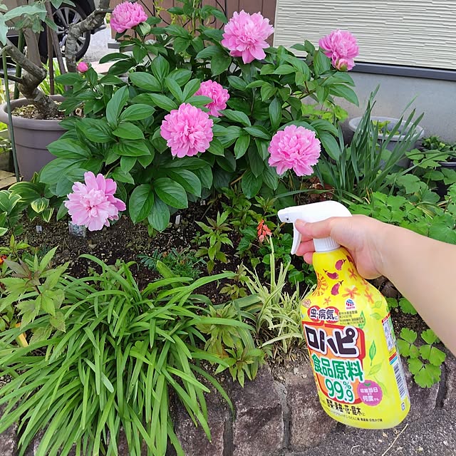 mutsuさんの部屋
