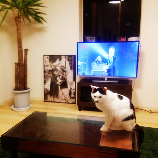 noguchiken0102さんの実例写真