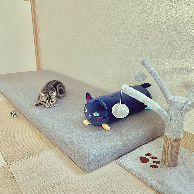 chiiさんの部屋