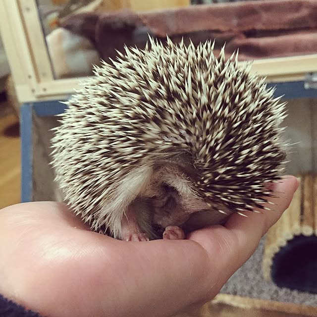yu_kiさんの実例写真