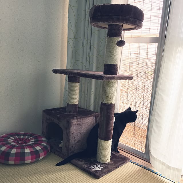 NTさんの実例写真