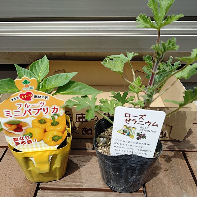 happytearsさんの実例写真