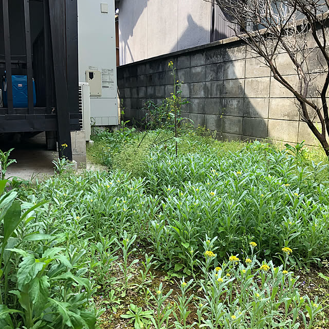 Minさんの実例写真