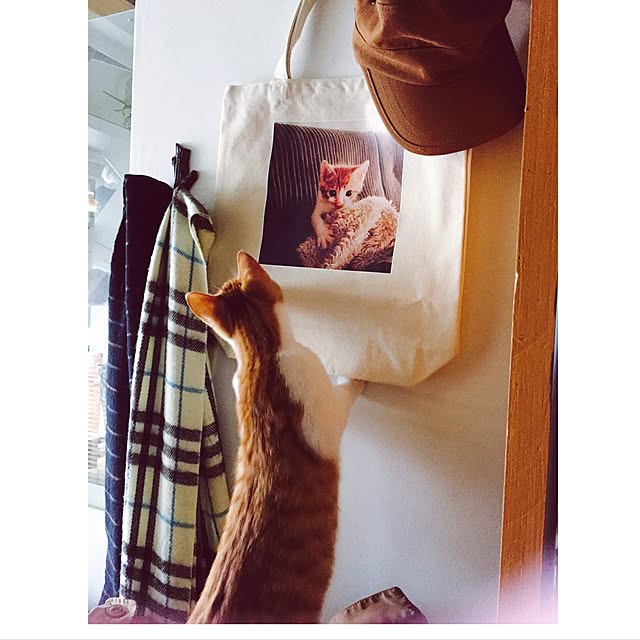 yuyushoさんの実例写真