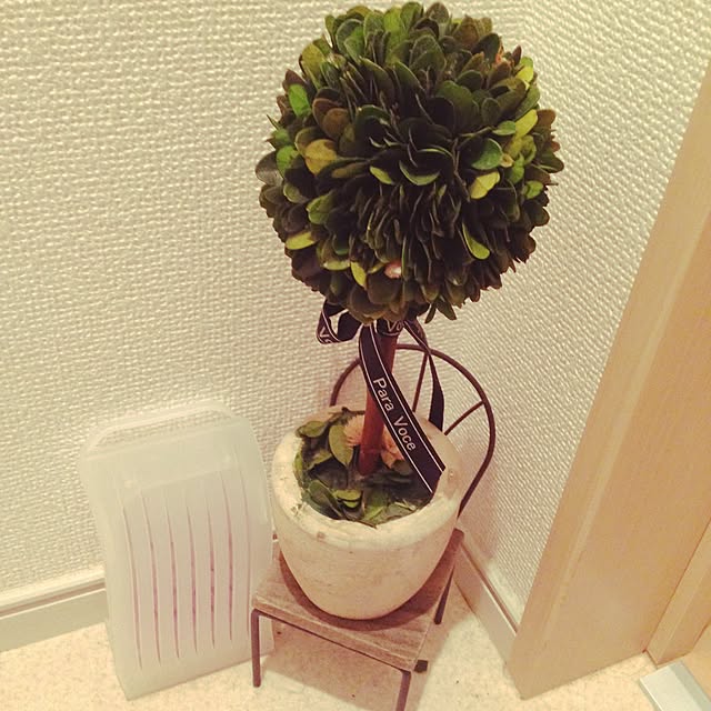 Mikaさんの実例写真