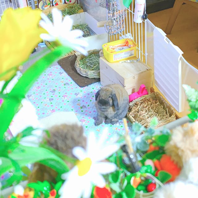 mariaさんの実例写真