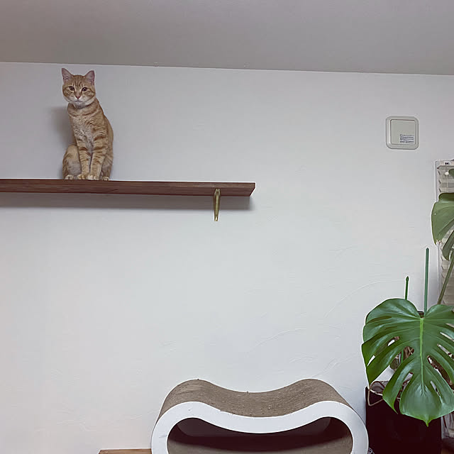 Hanaさんの実例写真