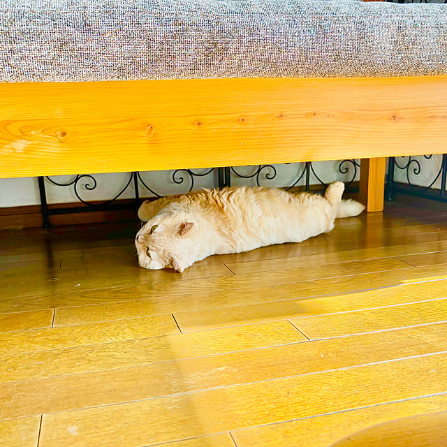 naokoさんの部屋