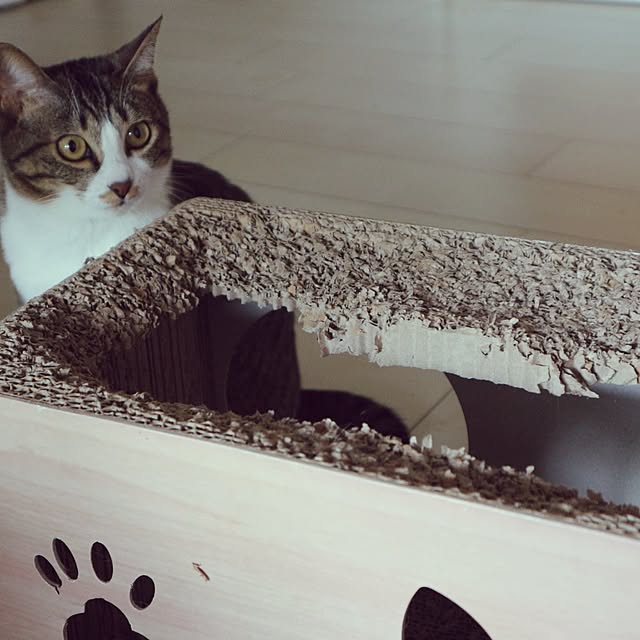 hanacocoさんの部屋