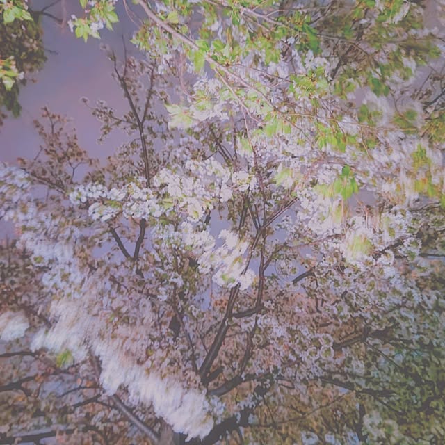 mariaさんの実例写真