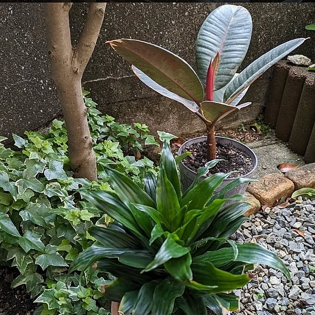 Renさんの部屋