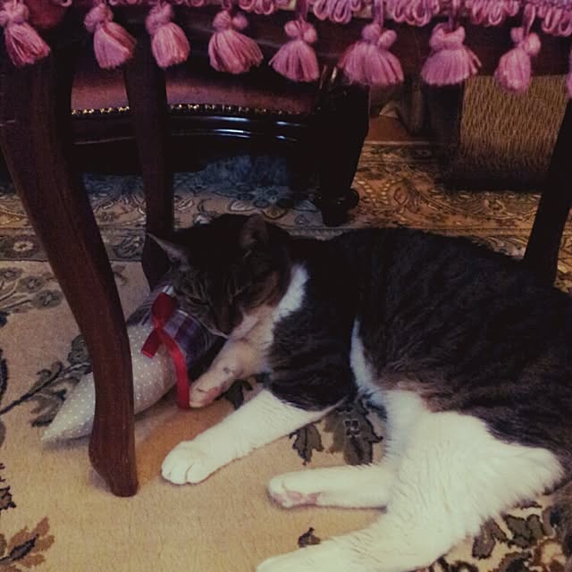 emmyyさんの実例写真