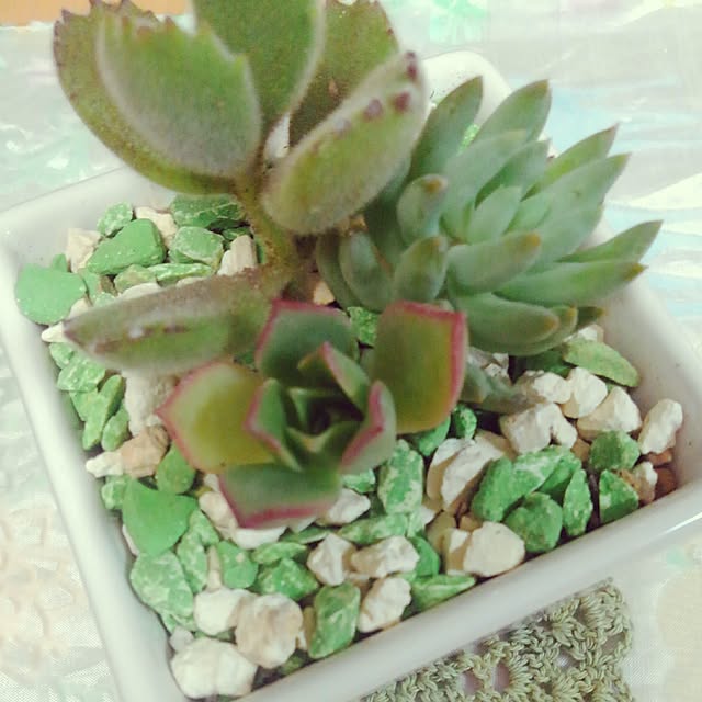 nt3itlさんの実例写真